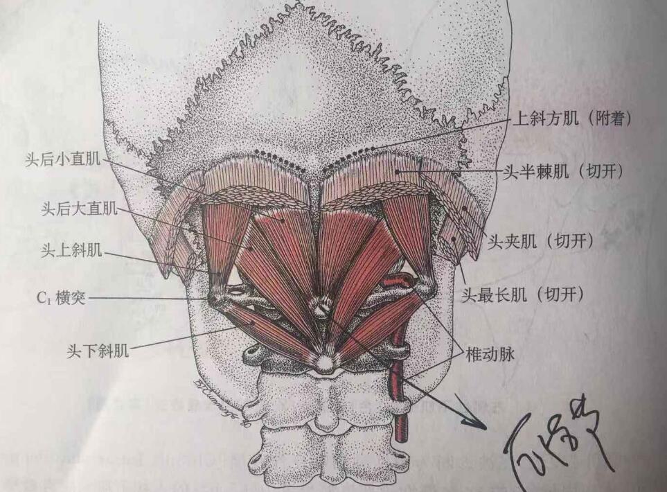 1551169388135322.jpg QQ截图20190221162859.jpg